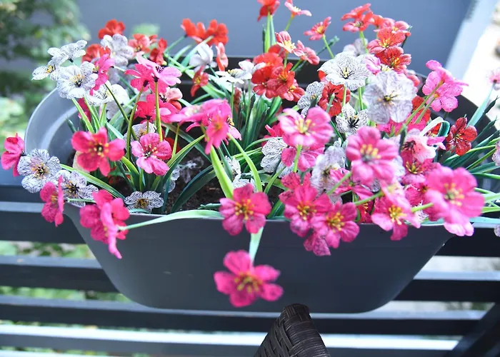 Dekart 2 Апартаменты *